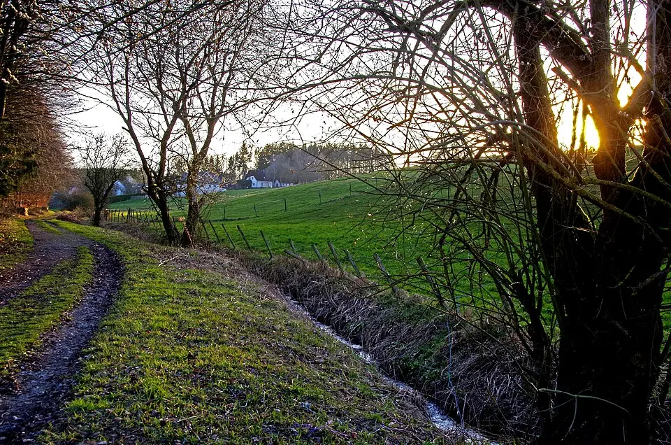 Kuttenbach