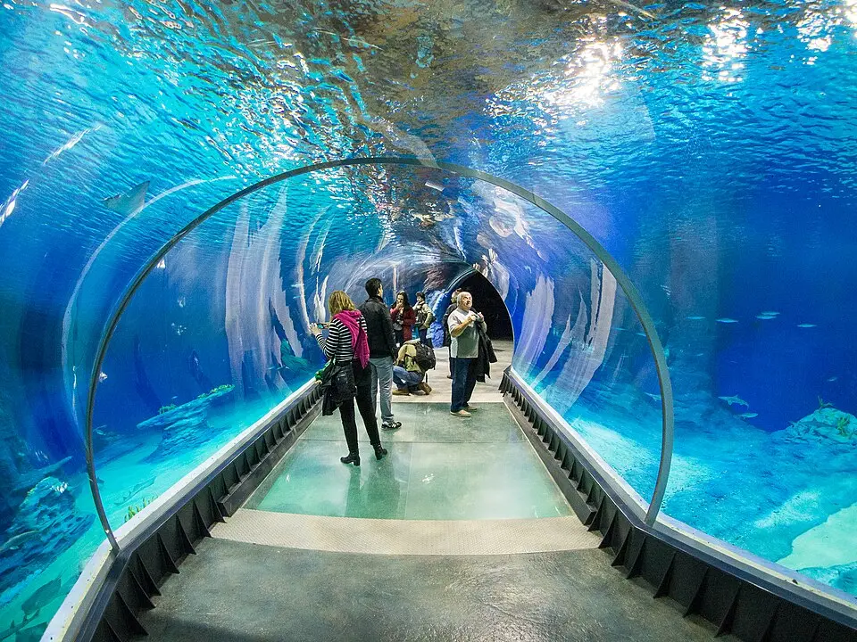 Afrykarium