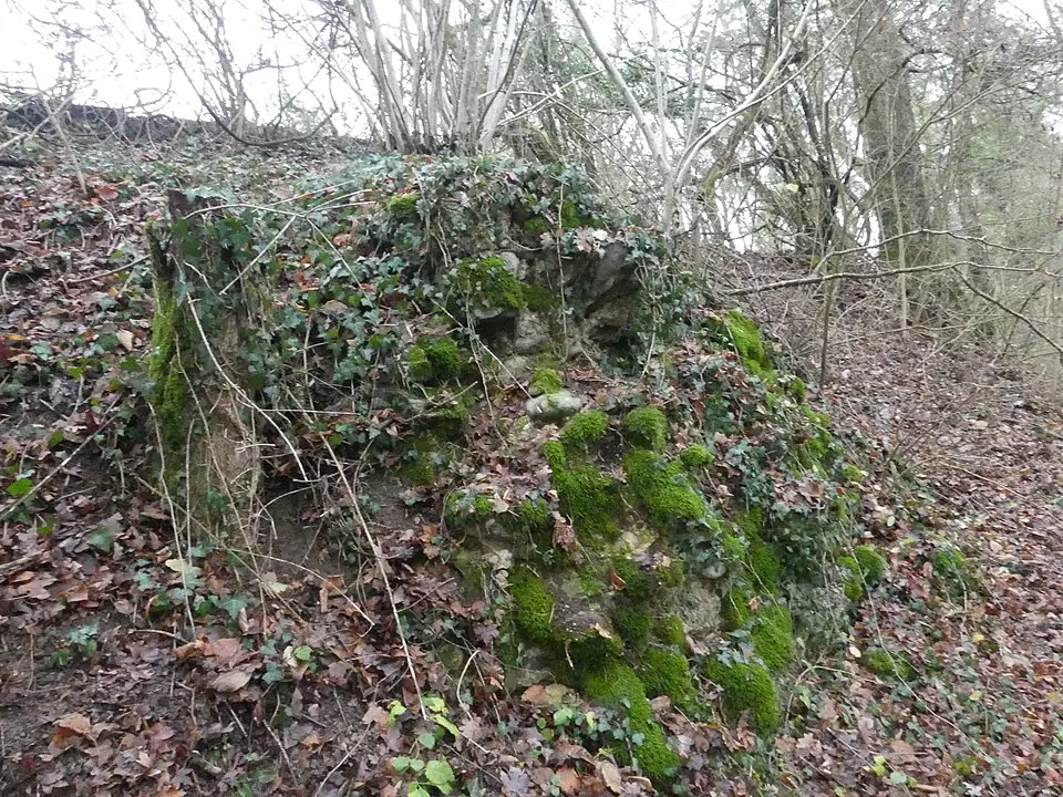 Ruine Bâtie-Beauregard