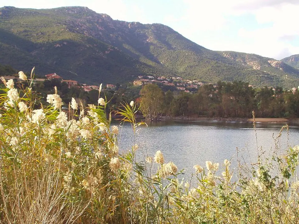 Poggio dei Pini