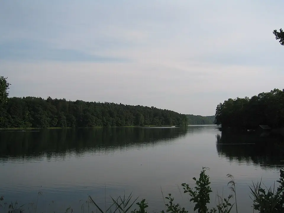 Schmaler Luzin