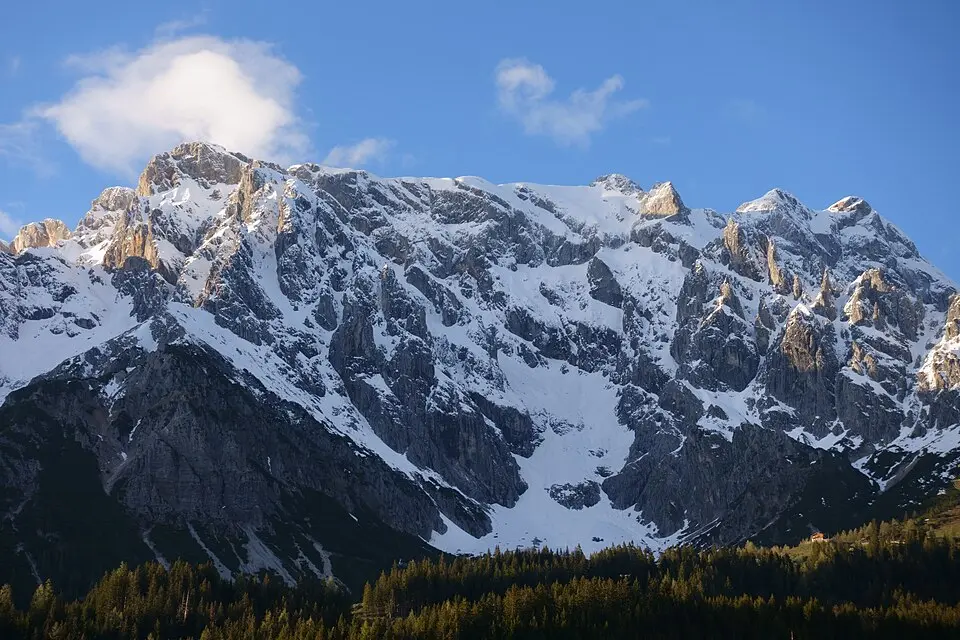 Hohe Köpfe