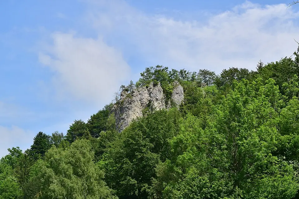 Sauzahn