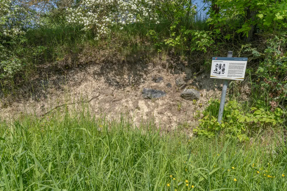Leimitz-Formation