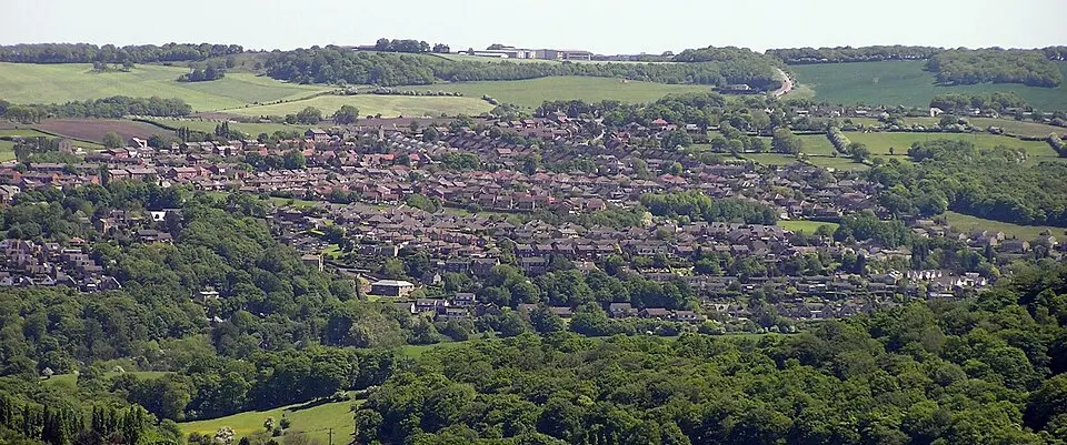 Lepton