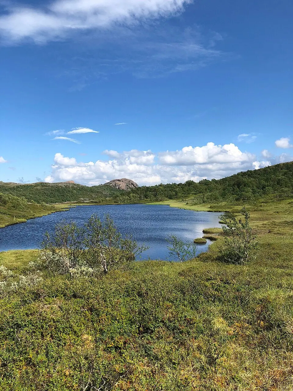 Lierne-Nationalpark