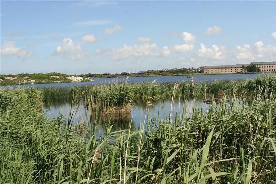 Valley Wetlands