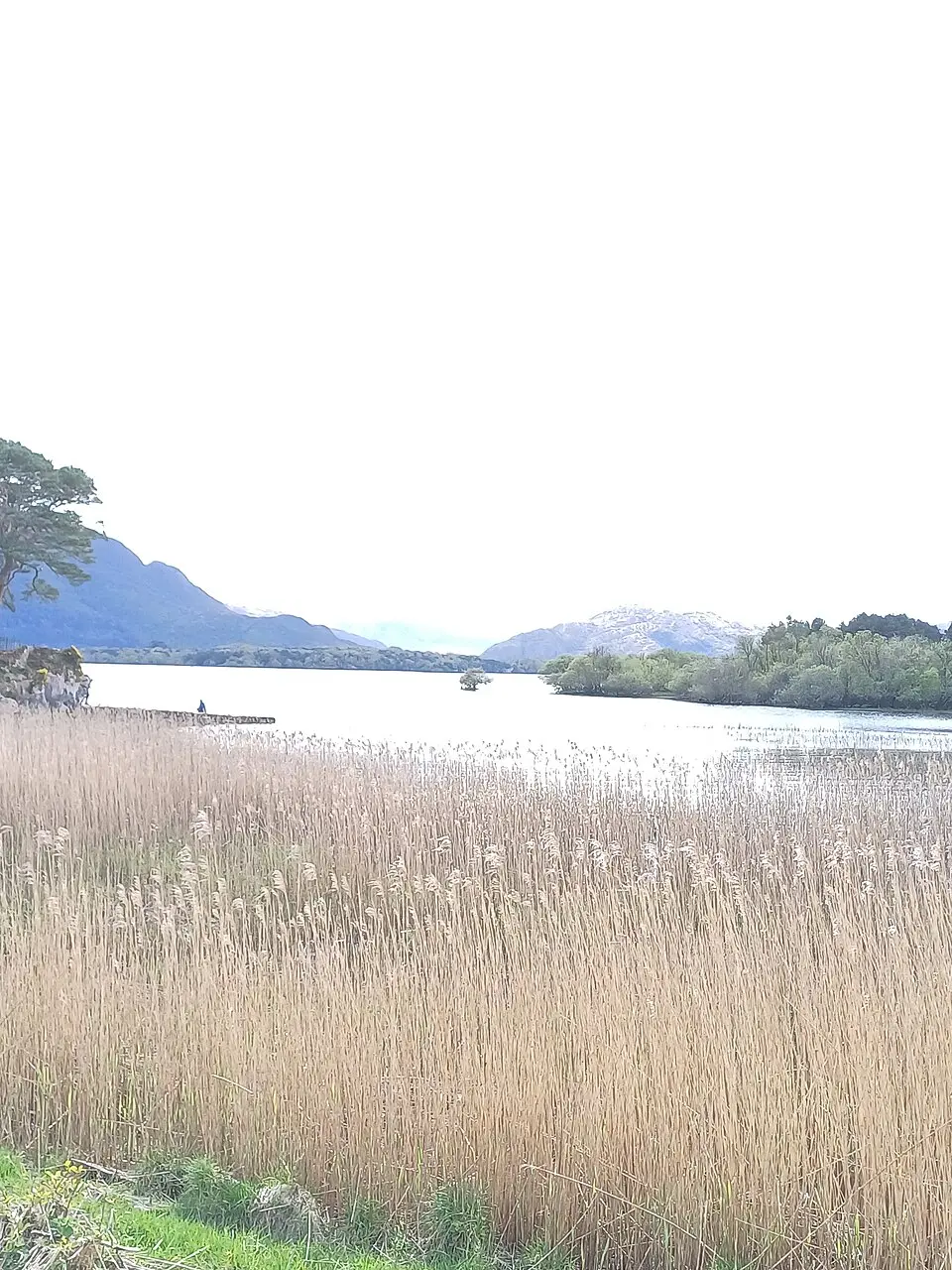 Lough Leane
