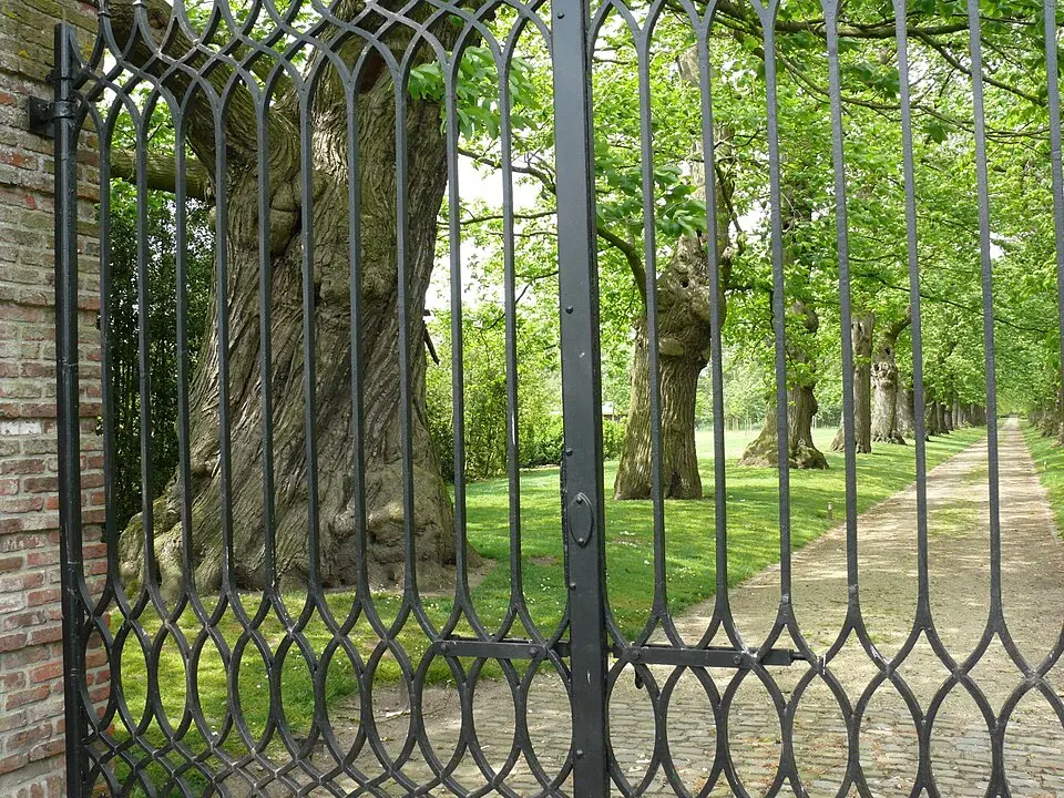 Kasteel van Vinderhoute