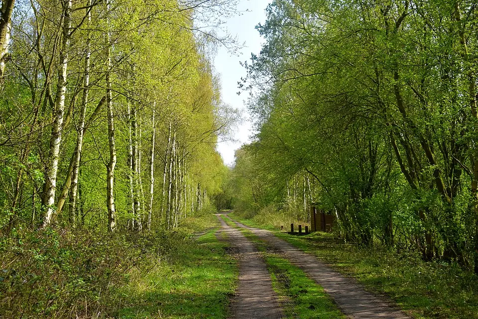 Immagine: NJLE17 · CC BY-SA 4.0 Thorpe Marsh Nature Reserve