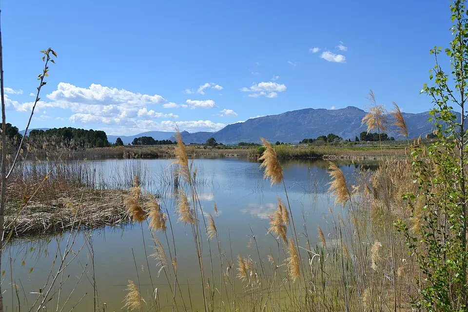 Bild: Joanbanjo · CC BY-SA 3.0 Albufera de Gayanes