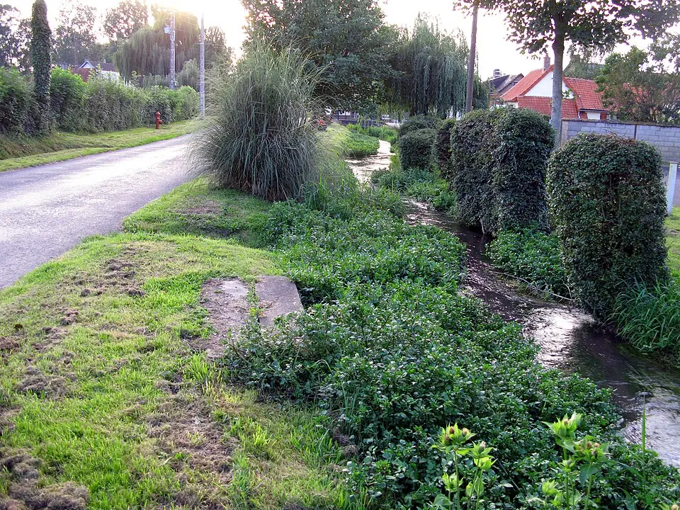 Vimeuse