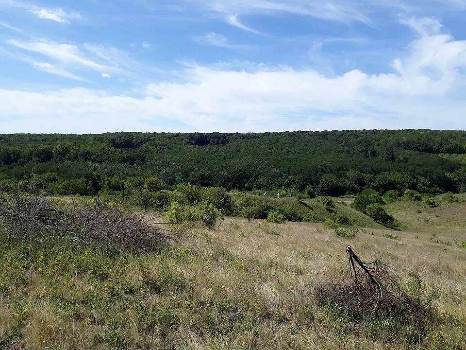 Cetatea Alcedar
