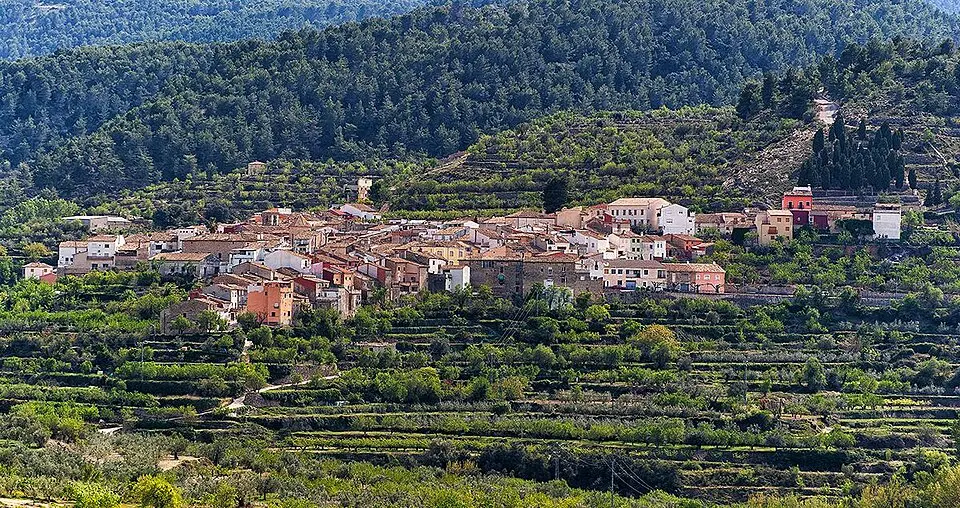 Alcolecha
