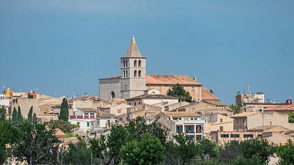 Bild: A.Savin · FAL Campanet