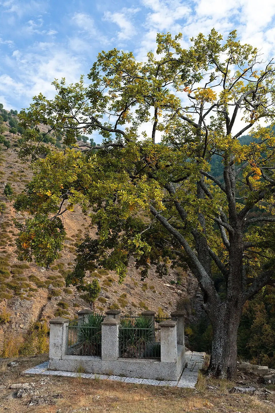 Dolna Ribnitsa