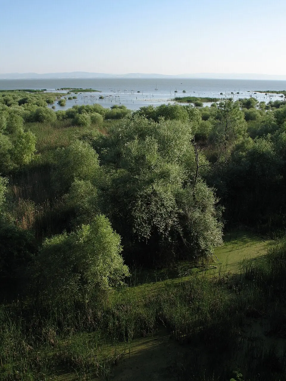Wikimedia Commons · Public domain Kuşcenneti-Nationalpark