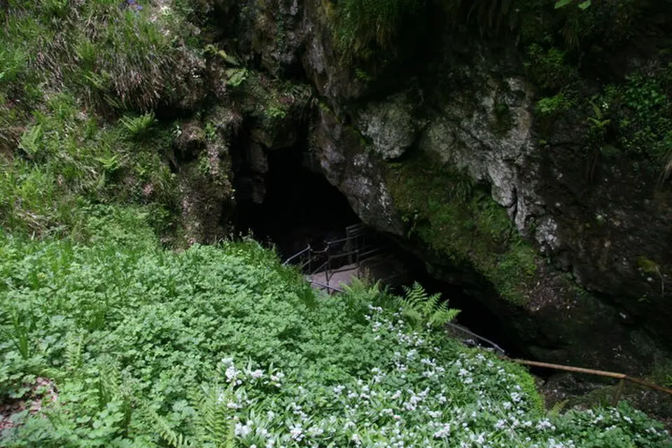 Marble Arch Caves