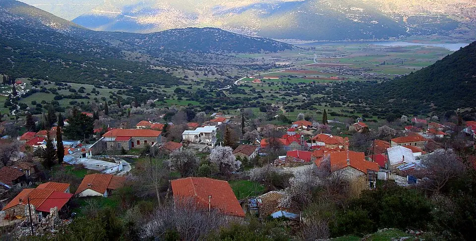 Alea Municipal Unit