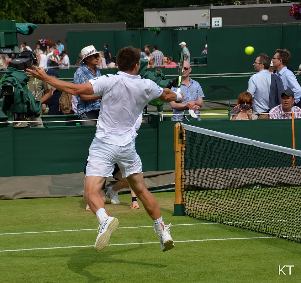 Wimbledon Championships 2015