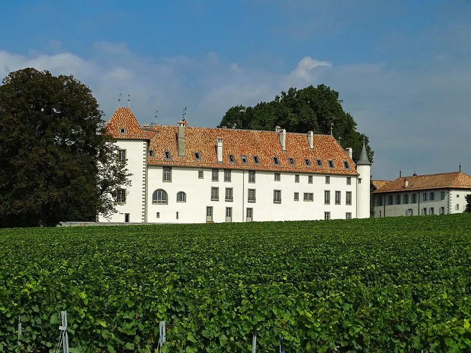 Immagine: Leemburg-CH · CC BY-SA 4.0 castello di Allaman