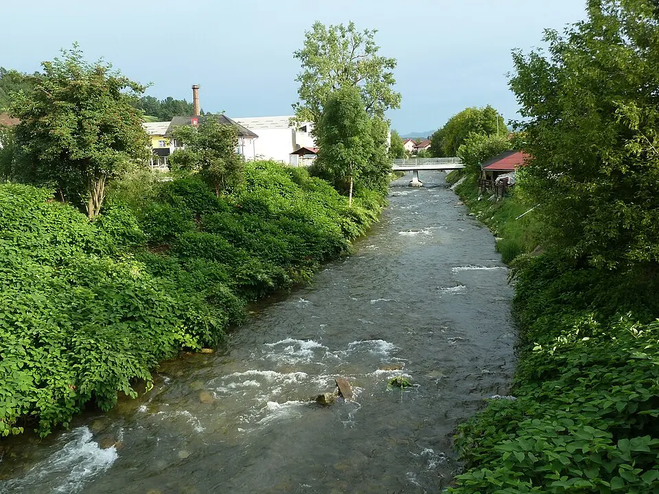 Mislinja