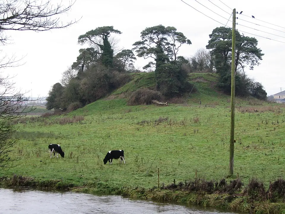 Callan Motte