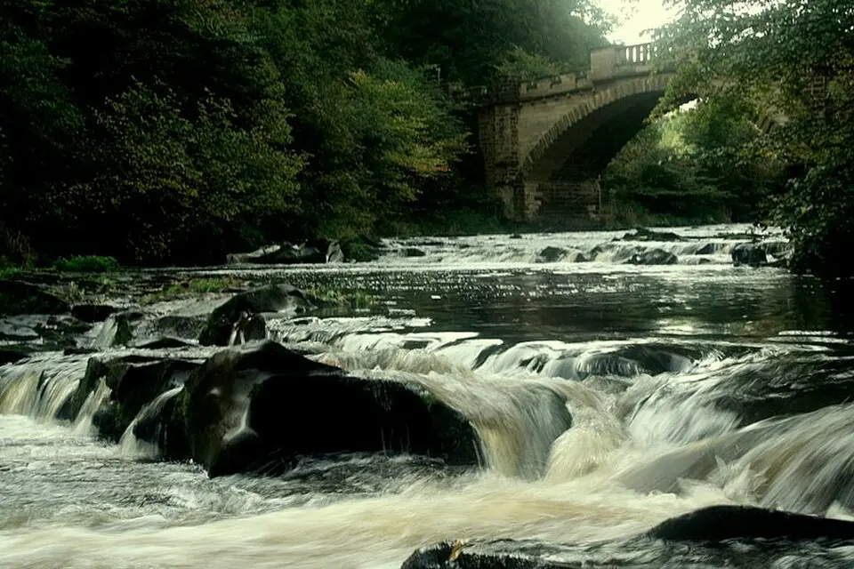 Bild: Markarianuk (talk) (Uploads) · CC BY 2.5 Almond (Firth of Forth)