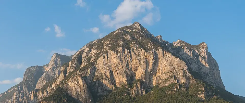 Coltignone