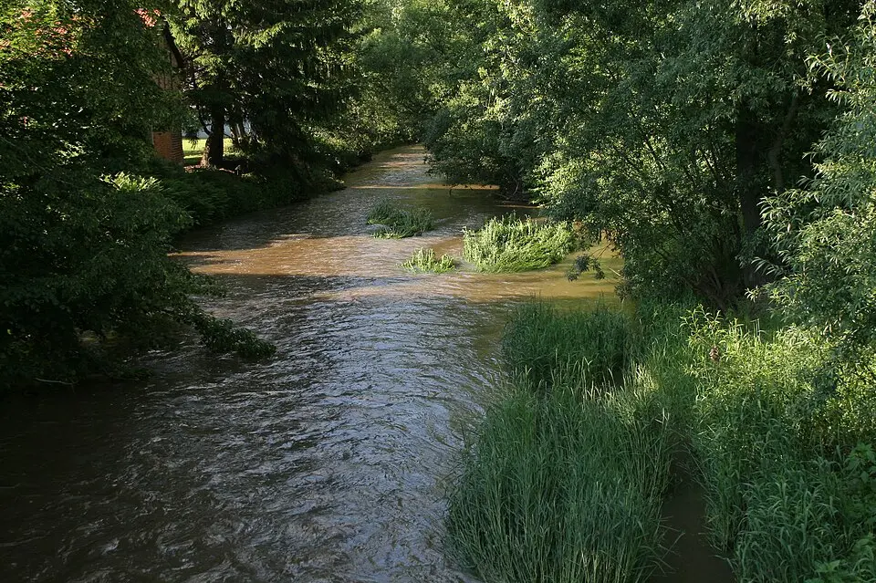 Schwalm