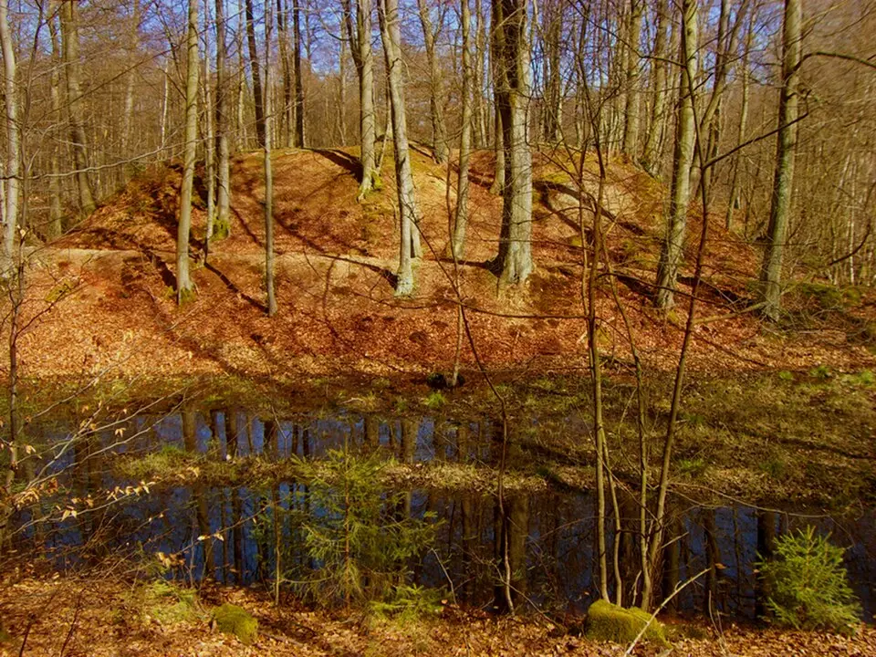 Alte Burg (Laudert)