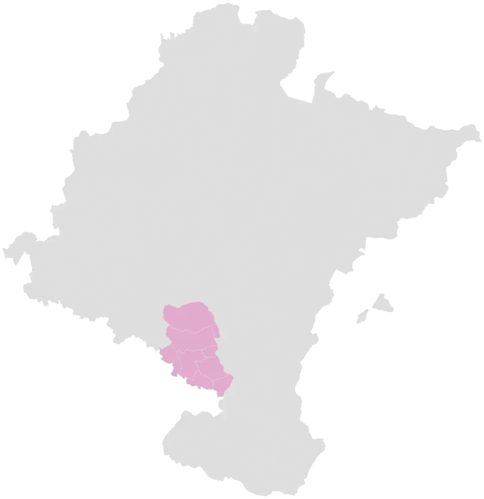 Erriberagoiena