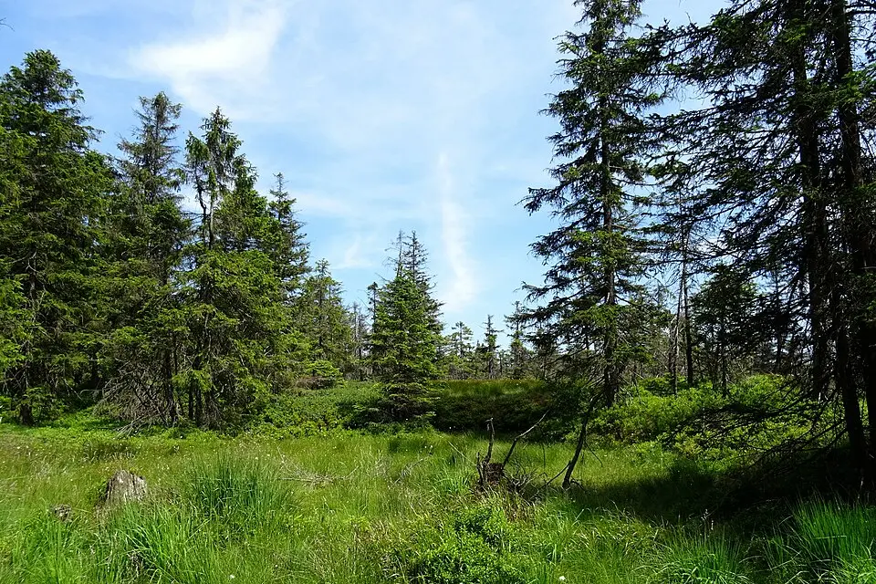 Naturpark Harz