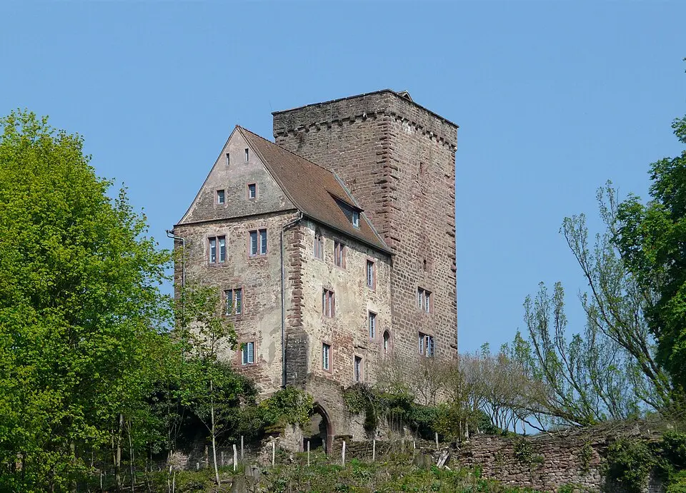 Vorderburg (Neckarsteinach)