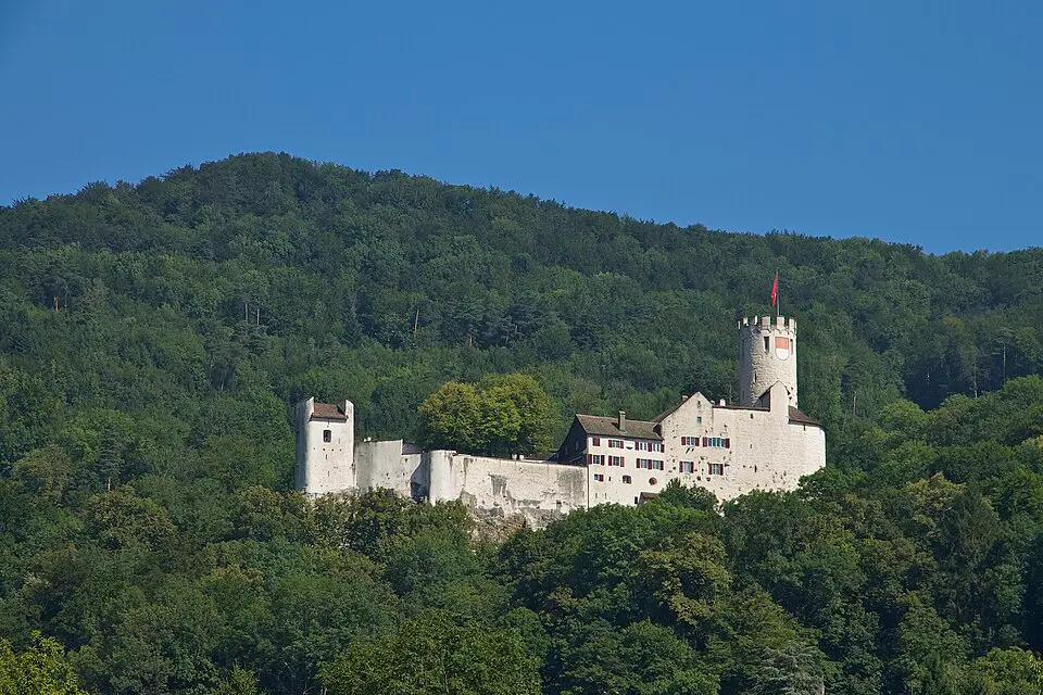 Immagine: Minnou · CC BY-SA 3.0 Neu Bechburg