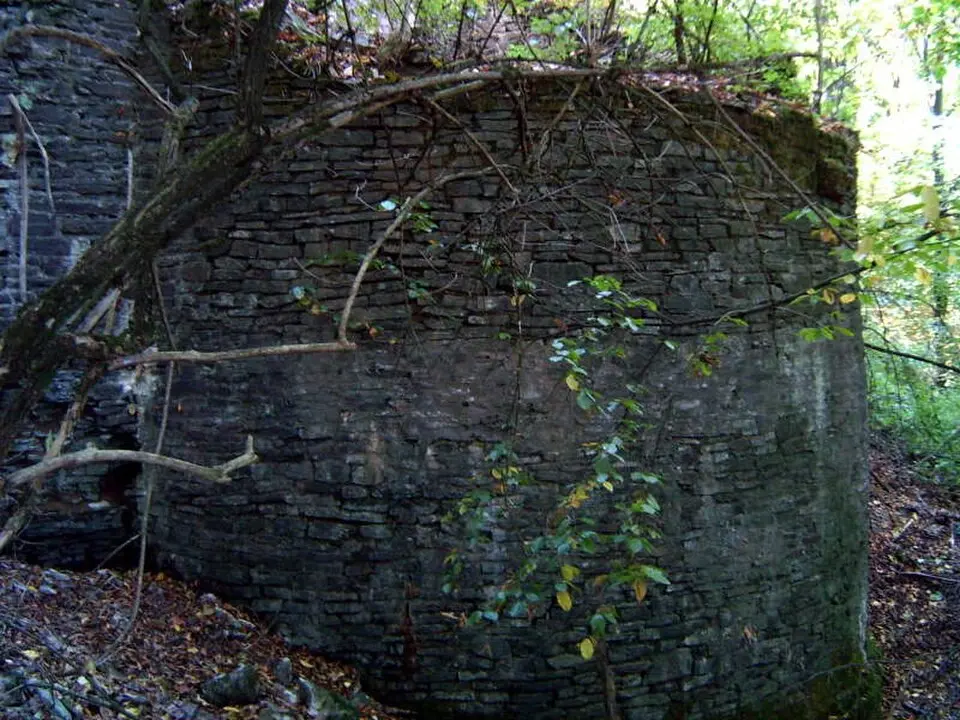 Immagine: Carsten Becher · CC BY-SA 3.0 Burg Neuenberg