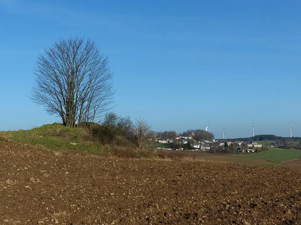 Turmhügel Rodesgrün