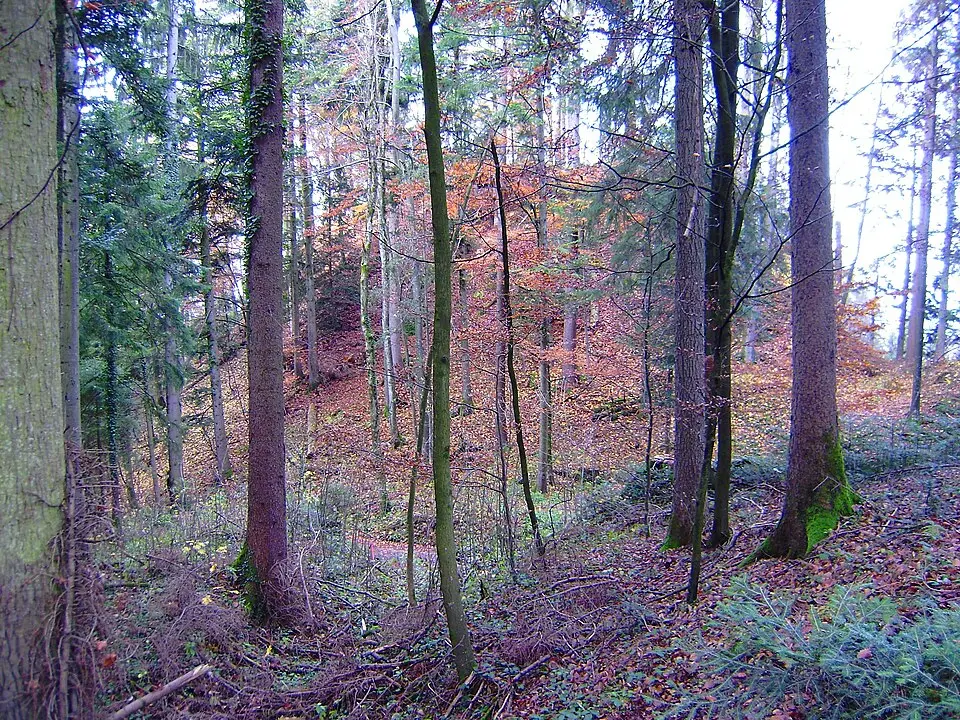 Bild: Fredou · CC BY-SA 3.0 Burgruine Alt-Schönstein