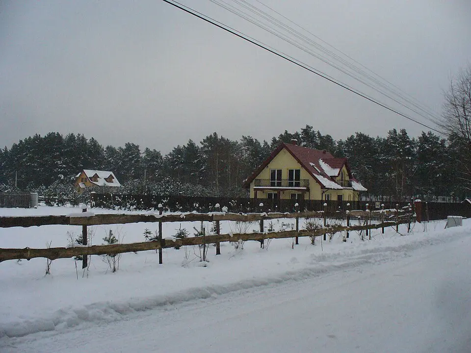 Świniotop