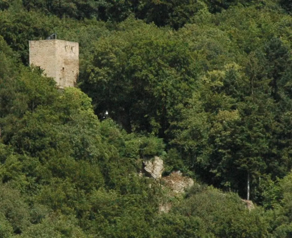 Obrázek: User:Ulli1105 · CC BY-SA 2.5 Burg Alt-Wolfstein