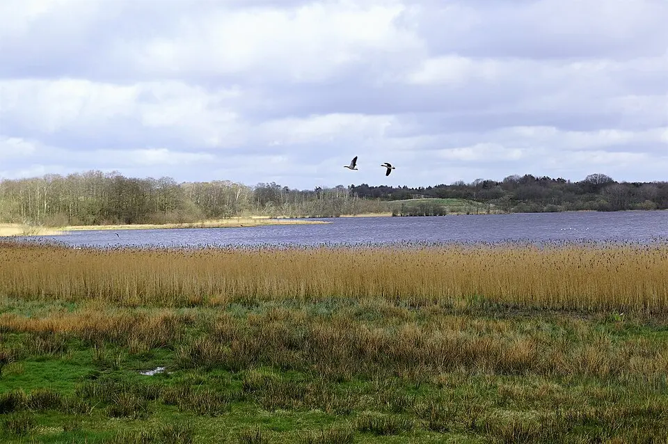 Nipgård Sø