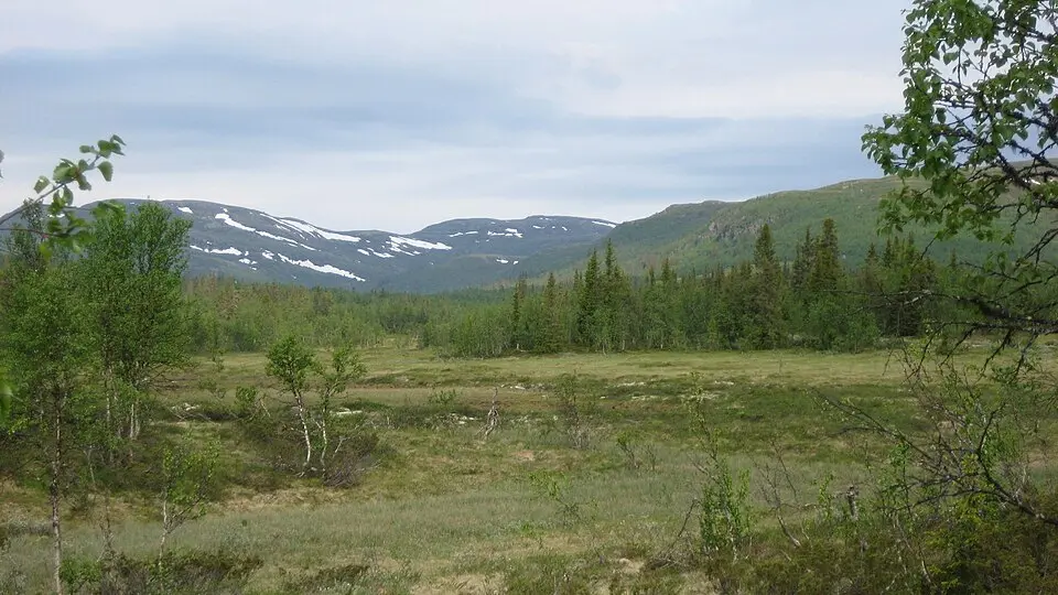 Oppsjømyra naturreservat