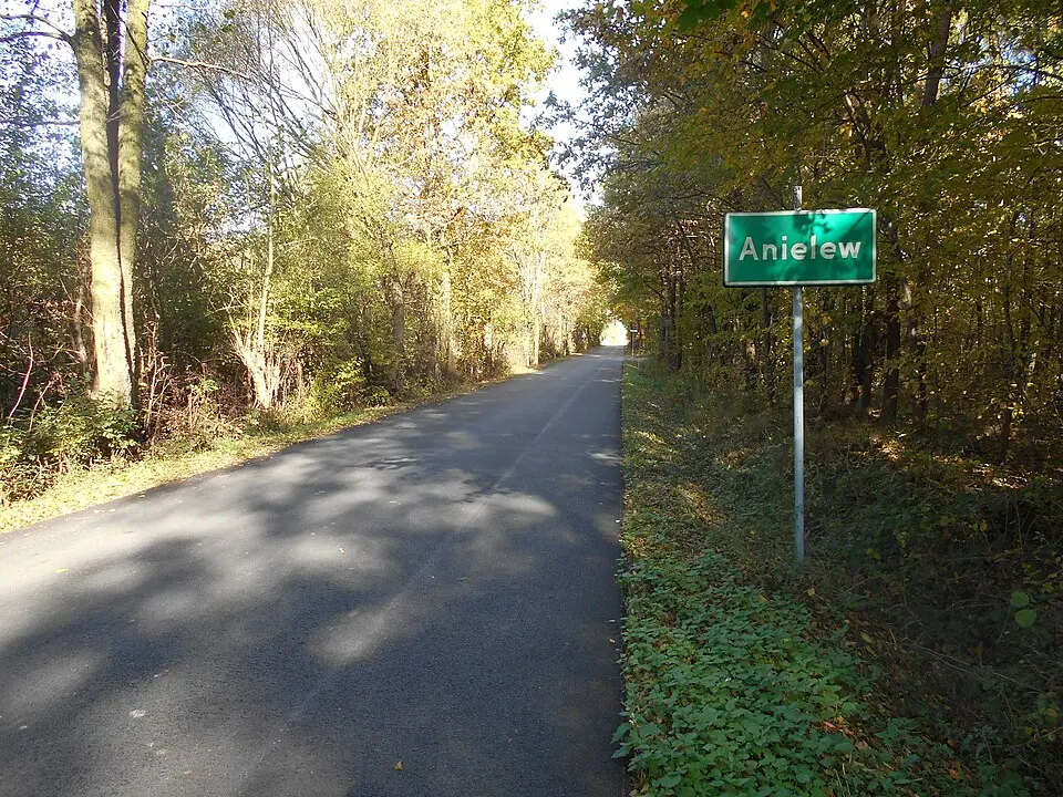 Anielew