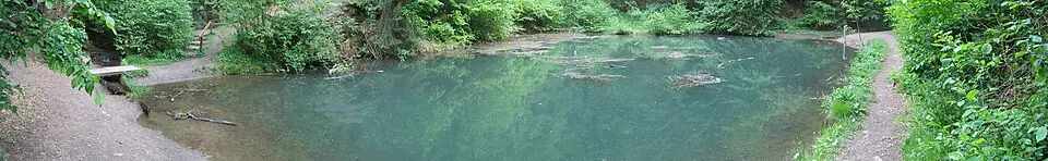 Grüner See