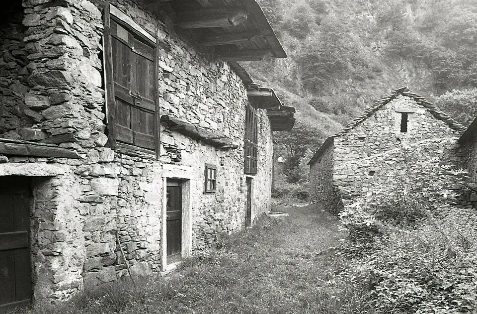 Bettola