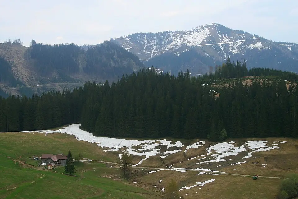 Bodenwies