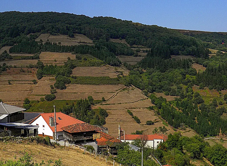 Parajas