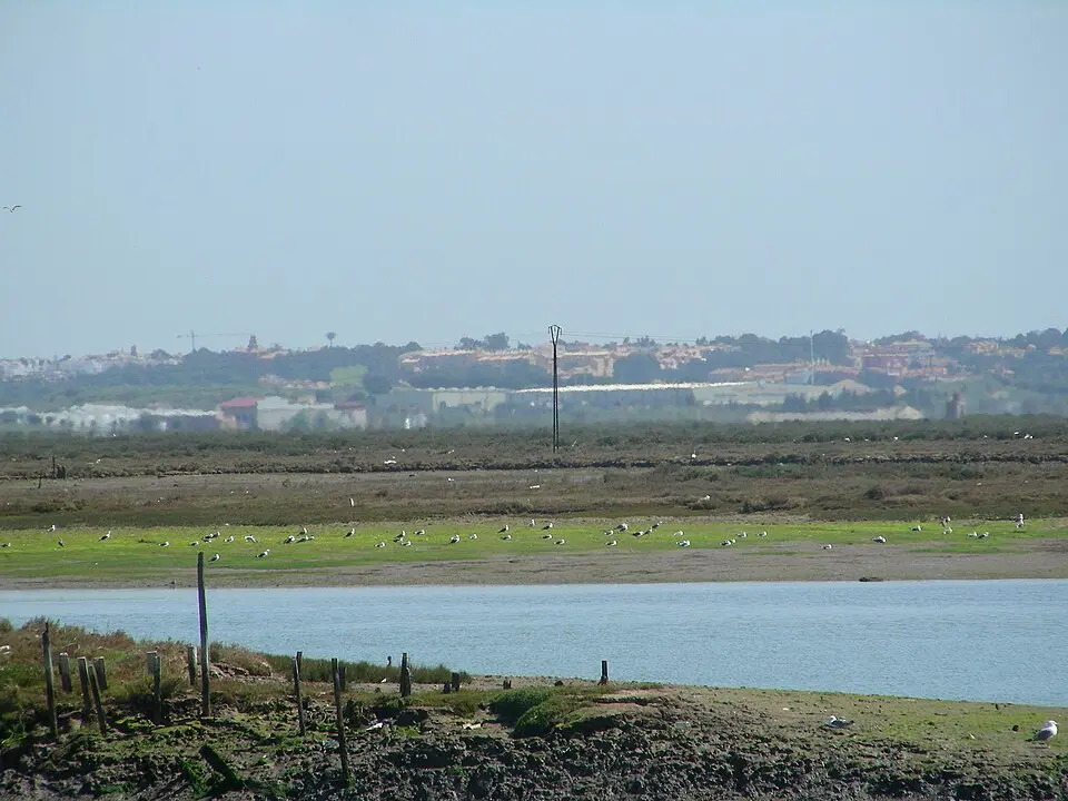 Marismas de Isla Cristina