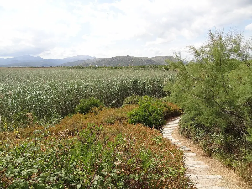 Parc natural de s’Albufera de Mallorca