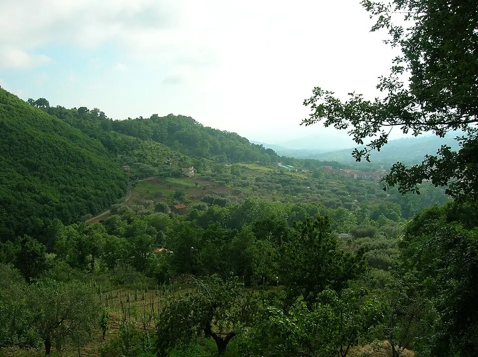 Hochgeladen von: Tramsvik~commonswiki · Public domain Cilento
